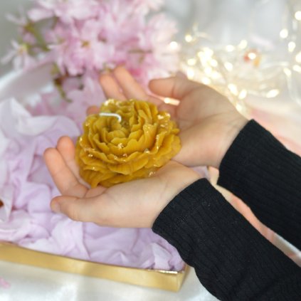 86fb22f0 fd23 48d8 b599 a0bc1b128bb2