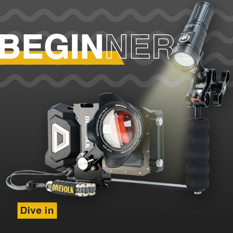 Beginner