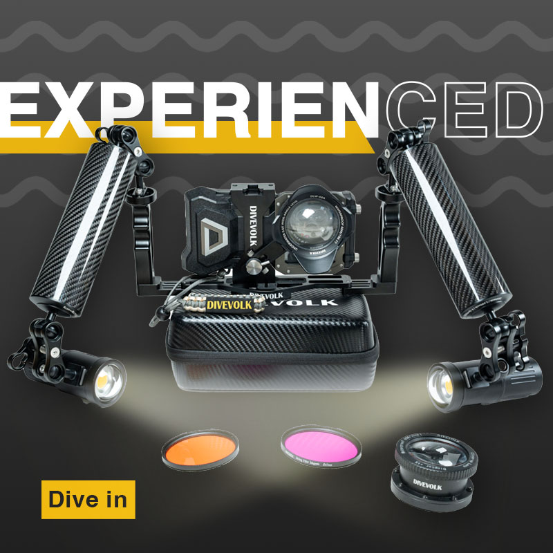 Experiencee