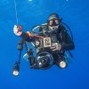 Underwater Photo 2 (3)