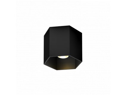 HEXO 1.0 PAR16 (Barva Černá, Typ lampy PAR16, Speciální typ Bez krytu)