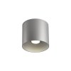 RAY 1.0 LED (Varianta Barva: Černá, Teplota chromatičnosti: 2700 K, Řízení: včetně napáječe | fázově stmívatelné)
