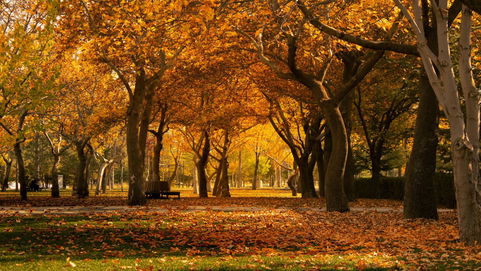Říjen v rytmu merina: Jak vrstvit a užít si podzim naplno