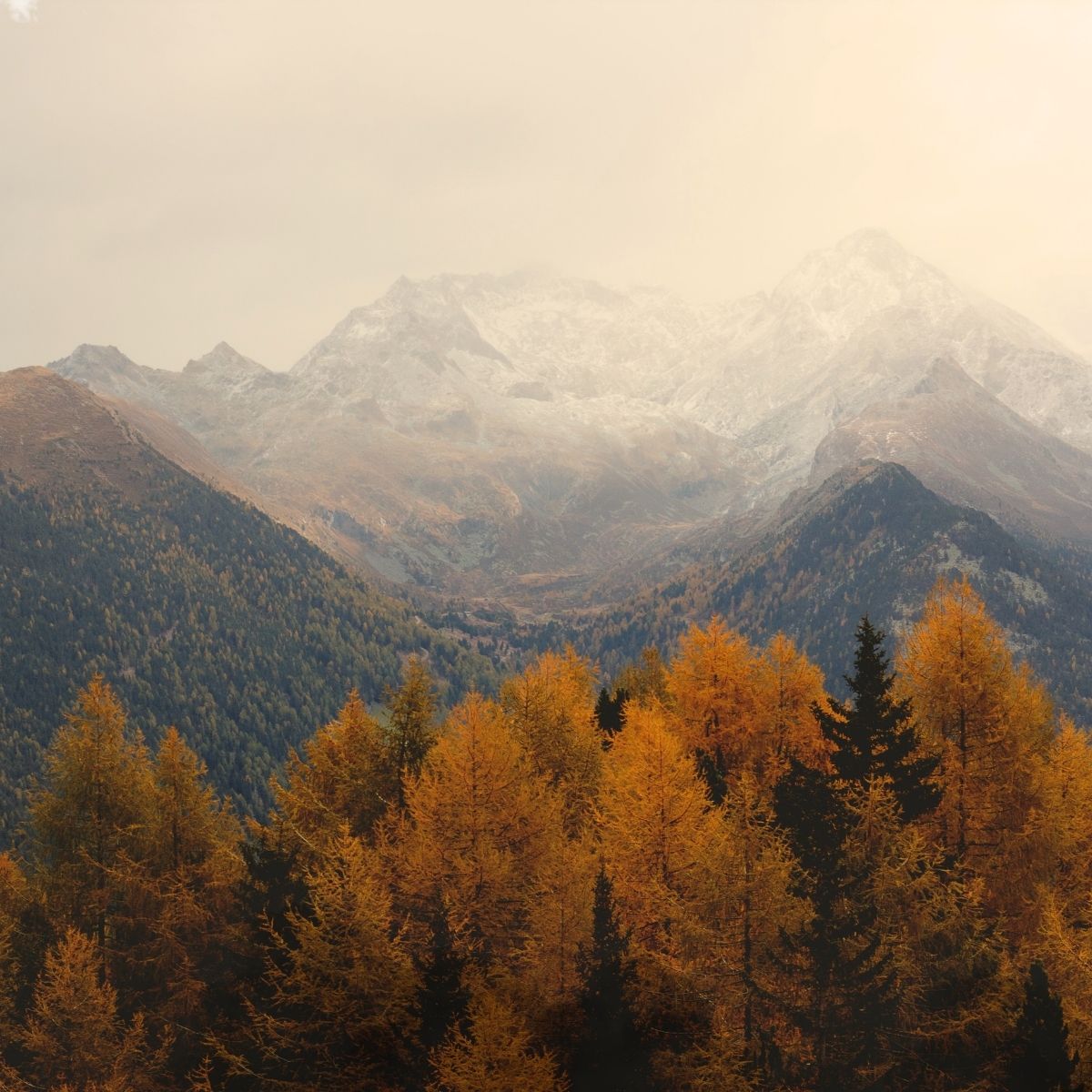 Říjen v rytmu merina: Jak vrstvit a užít si podzim naplno