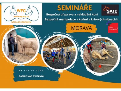 seminář MORAVA 10 2024(A4 (na šířku))