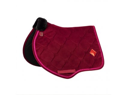berry tudor skokova podsedlovka 02
