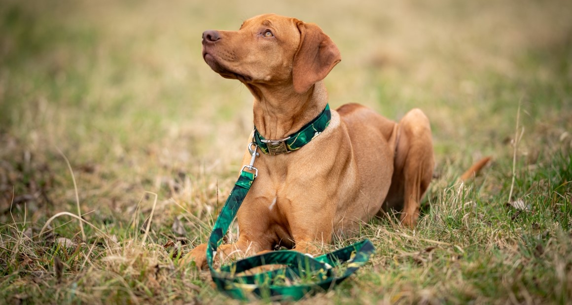 Přivítej jaro novinkami!