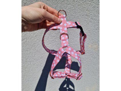 Postroj DOTS pink