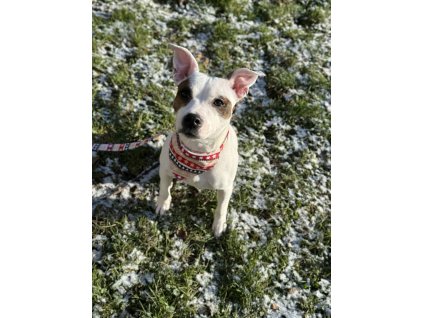 4D4224BE D303 402E B07E 082D1B327F3B