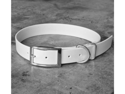 Vodeodolny obojek pro psy whatthedog