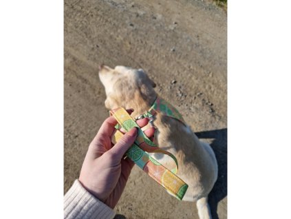 Voditko pro psa citrus whatthedog