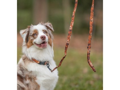 Voditko pro pesjky coffee whatthedogcz