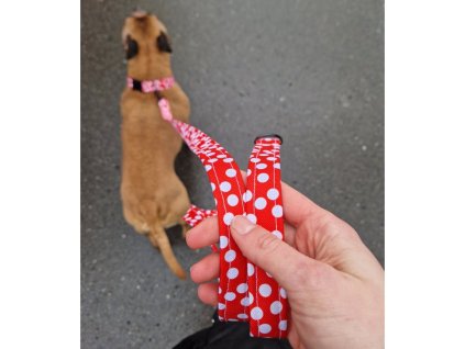 Voditko pro psa dots