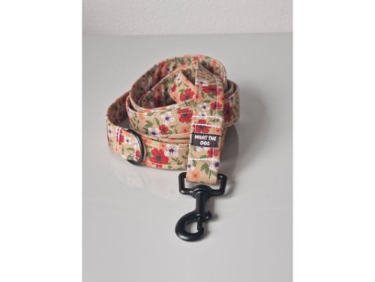 Voditko kyticky pro pejsky whatthedog