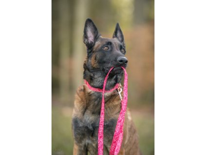 Ruzove voditko pro psa whatthedog