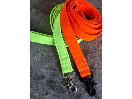 Neonove voditko whatthedog