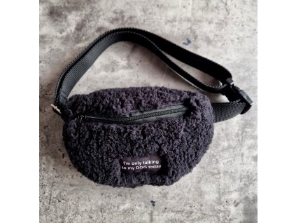 Ledvinka TEDDY černá