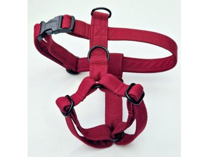 Postroj BORDEAUX