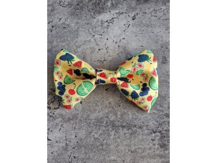 Motýlek TUTTI FRUTTI