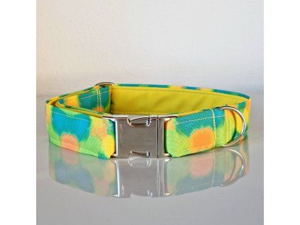 Obojek RAINBOW