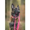 Obojek voditko pro psa ruzove pinkside whatthedog