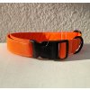 Obojek neonovy oranzovy pro psa whatthedog
