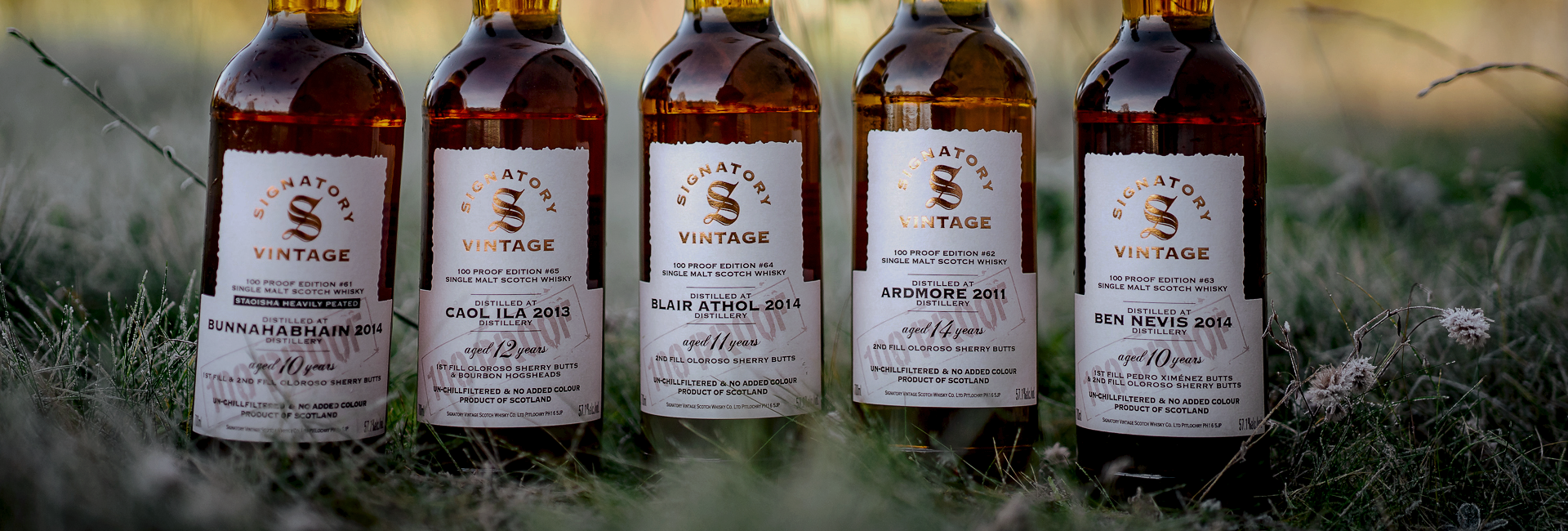 Signatory Vintage whisky választék
