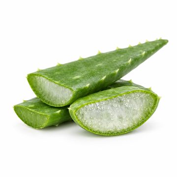 Rozkrojený list aloe vera s průsvitným gelem