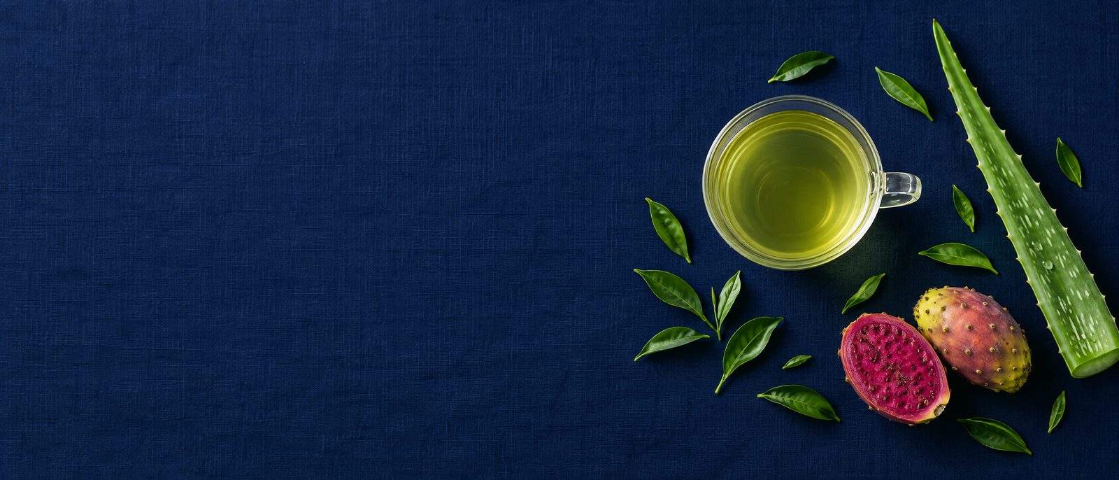 Šálek zeleného čaje s listem aloe vera a plody opuncie na tmavě modrém plátně