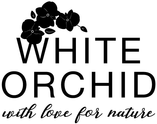 WHITE ORCHID