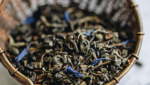 Průvodce zeleným čajem