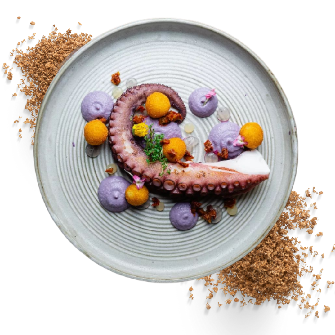 Využitie jedlého hmyzu v gastronómii