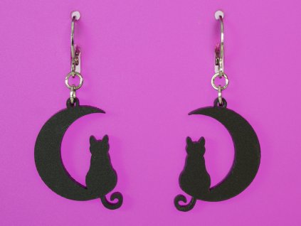 kočka na měsíci result