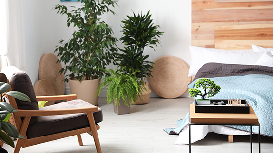 Lakberendezési ötletek kis hálószobához a feng shui szerint