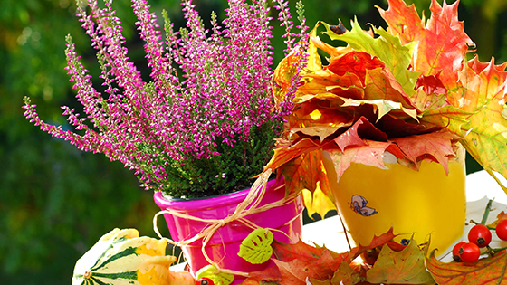 Készíts otthon egyedi őszi lakás dekorációkat