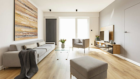 Cum să așezați corect canapeaua față de televizor și ferestre