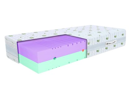 Saltea Ergo 100x200