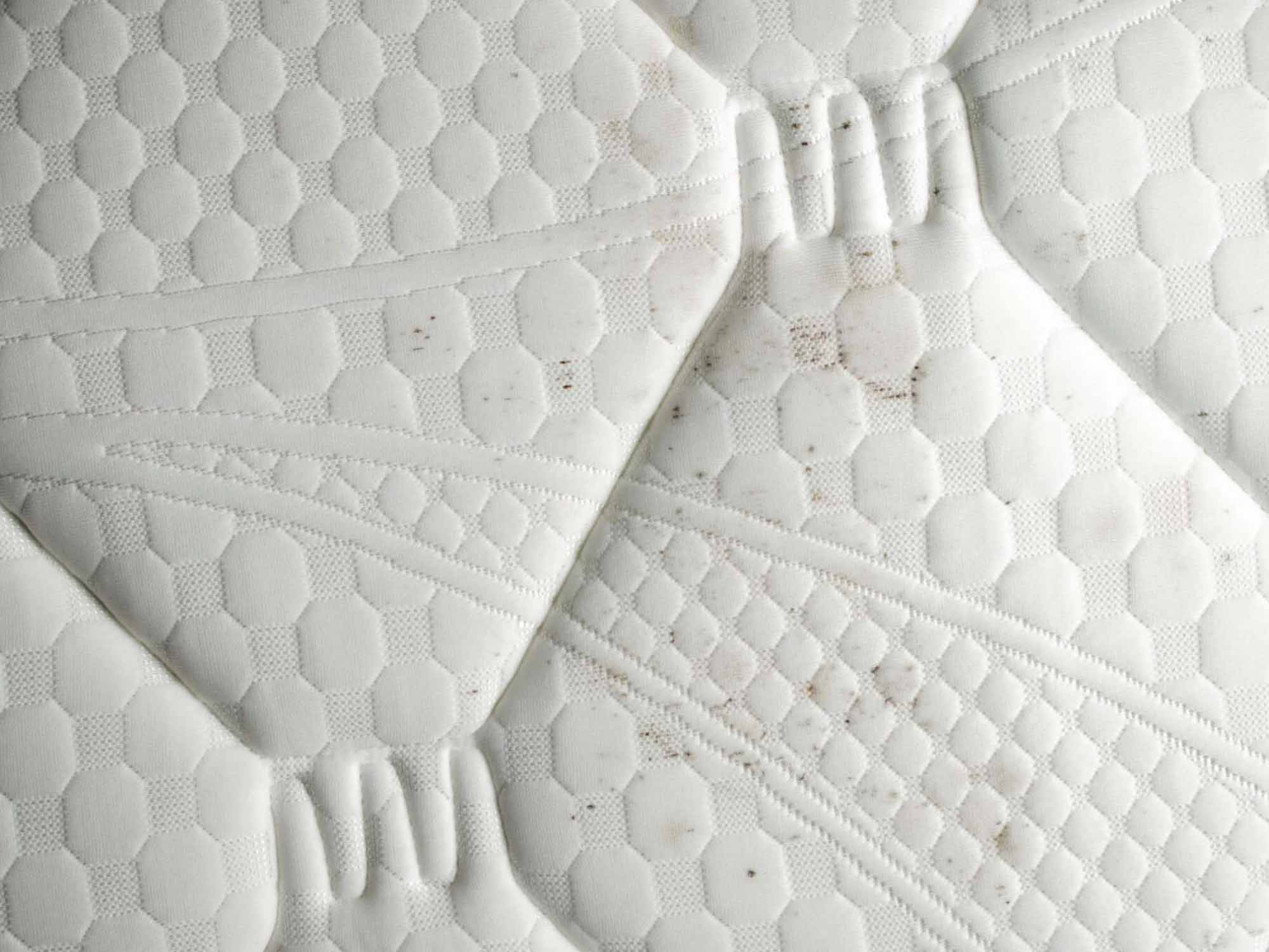 Zakaj se v vzmetnici razvije plesen in kako se je znebiti?