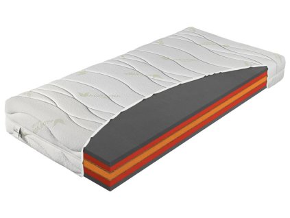 Antibakterijska vzmetnica Bryce 100x200
