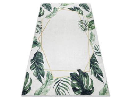 Sivo-zeleni tepih Monstera