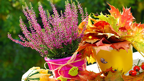 Pripravte si doma originálnu jesennú výzdobu