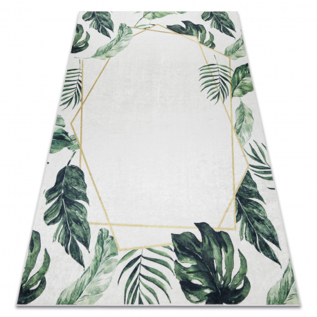 DW Sivo-zelený koberec Monstera Rozmer: 80x150 cm