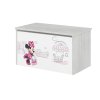 Truhlica Minnie Paris Disney
