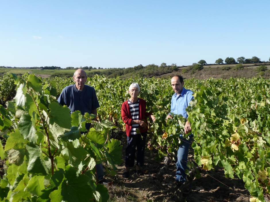 DOMAINE DU PETIT MÉTRIS