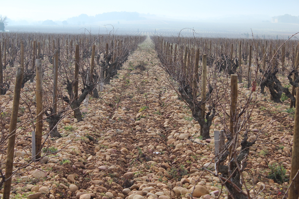 ➤  CO JE MINERALITA VE VÍNĚ