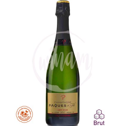 Šampaňské Blanc de Noirs Premier Cru