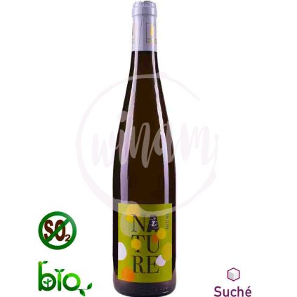 Přírodní Riesling z Alsaska