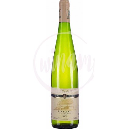 Riesling - Alsasko - Francie