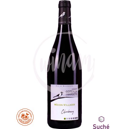 Chardonnay z Burgundska