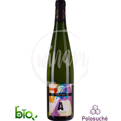 Pinot Gris z Alsaska